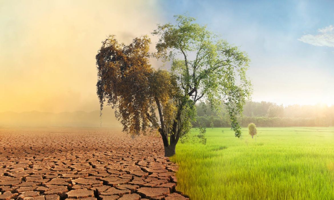 cambio-climatico-t